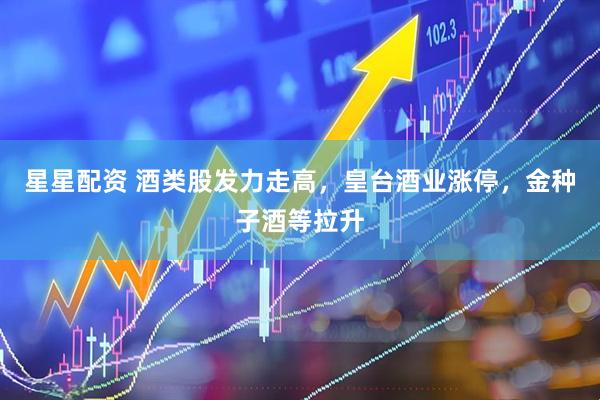 星星配资 酒类股发力走高，皇台酒业涨停，金种子酒等拉升