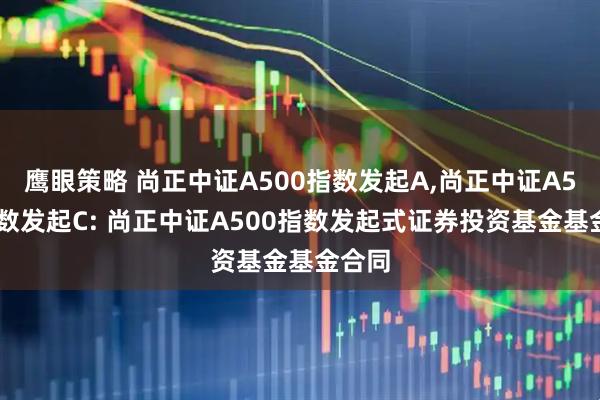 鹰眼策略 尚正中证A500指数发起A,尚正中证A500指数发起C: 尚正中证A500指数发起式证券投资基金基金合同