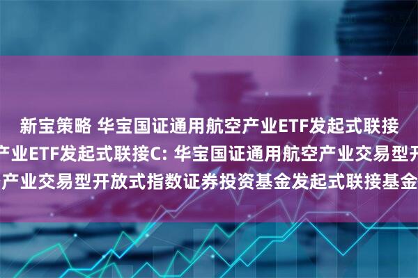 新宝策略 华宝国证通用航空产业ETF发起式联接A,华宝国证通用航空产业ETF发起式联接C: 华宝国证通用航空产业交易型开放式指数证券投资基金发起式联接基金基金份额发售公告