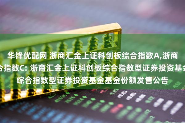 华锋优配网 浙商汇金上证科创板综合指数A,浙商汇金上证科创板综合指数C: 浙商汇金上证科创板综合指数型证券投资基金基金份额发售公告
