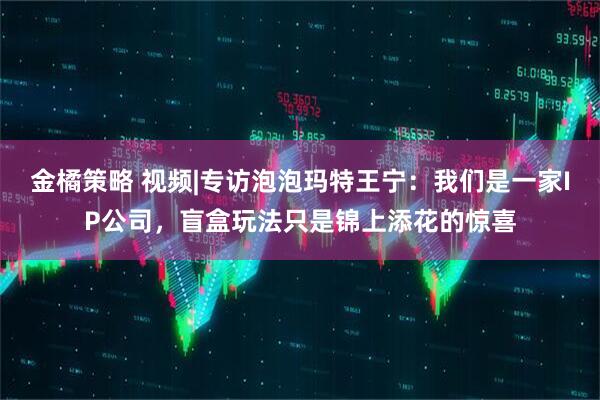金橘策略 视频|专访泡泡玛特王宁：我们是一家IP公司，盲盒玩法只是锦上添花的惊喜