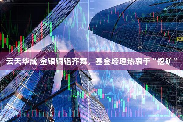 云天华成 金银铜铝齐舞，基金经理热衷于“挖矿”