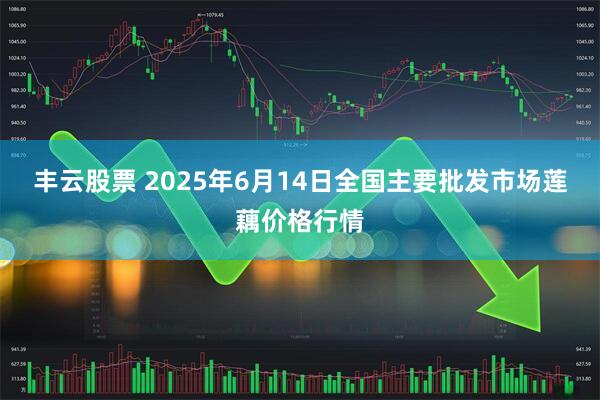 丰云股票 2025年6月14日全国主要批发市场莲藕价格行情