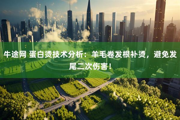 牛途网 蛋白烫技术分析：羊毛卷发根补烫，避免发尾二次伤害！