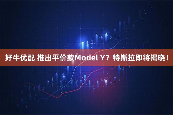 好牛优配 推出平价款Model Y？特斯拉即将揭晓！