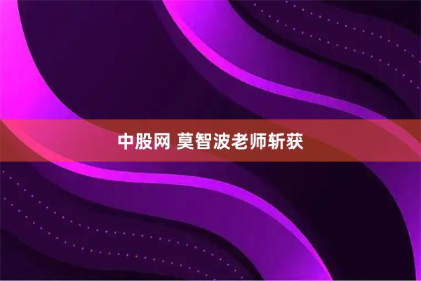 中股网 莫智波老师斩获