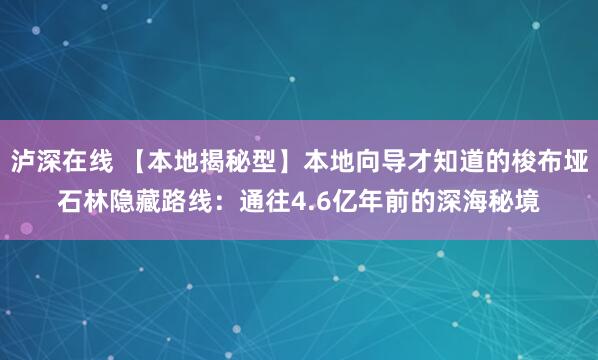 泸深在线 【本地揭秘型】本地向导才知道的梭布垭石林隐藏路线：通往4.6亿年前的深海秘境