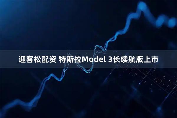 迎客松配资 特斯拉Model 3长续航版上市