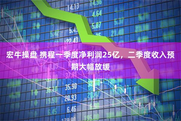 宏牛操盘 携程一季度净利润25亿，二季度收入预期大幅放缓